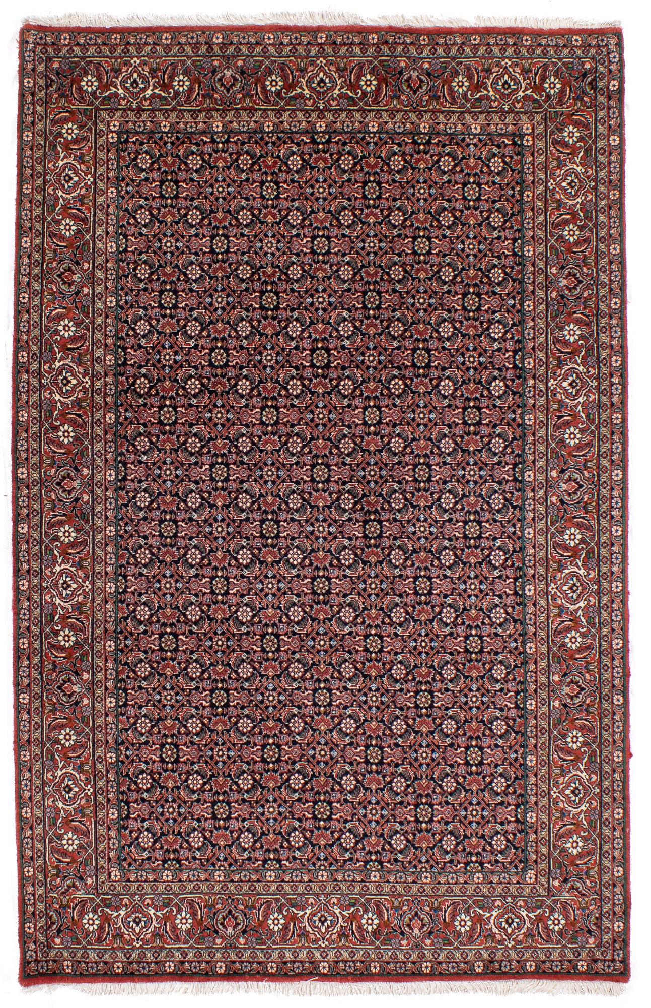 Persia Bidjar Rug <br> 4'3' x 6'9'