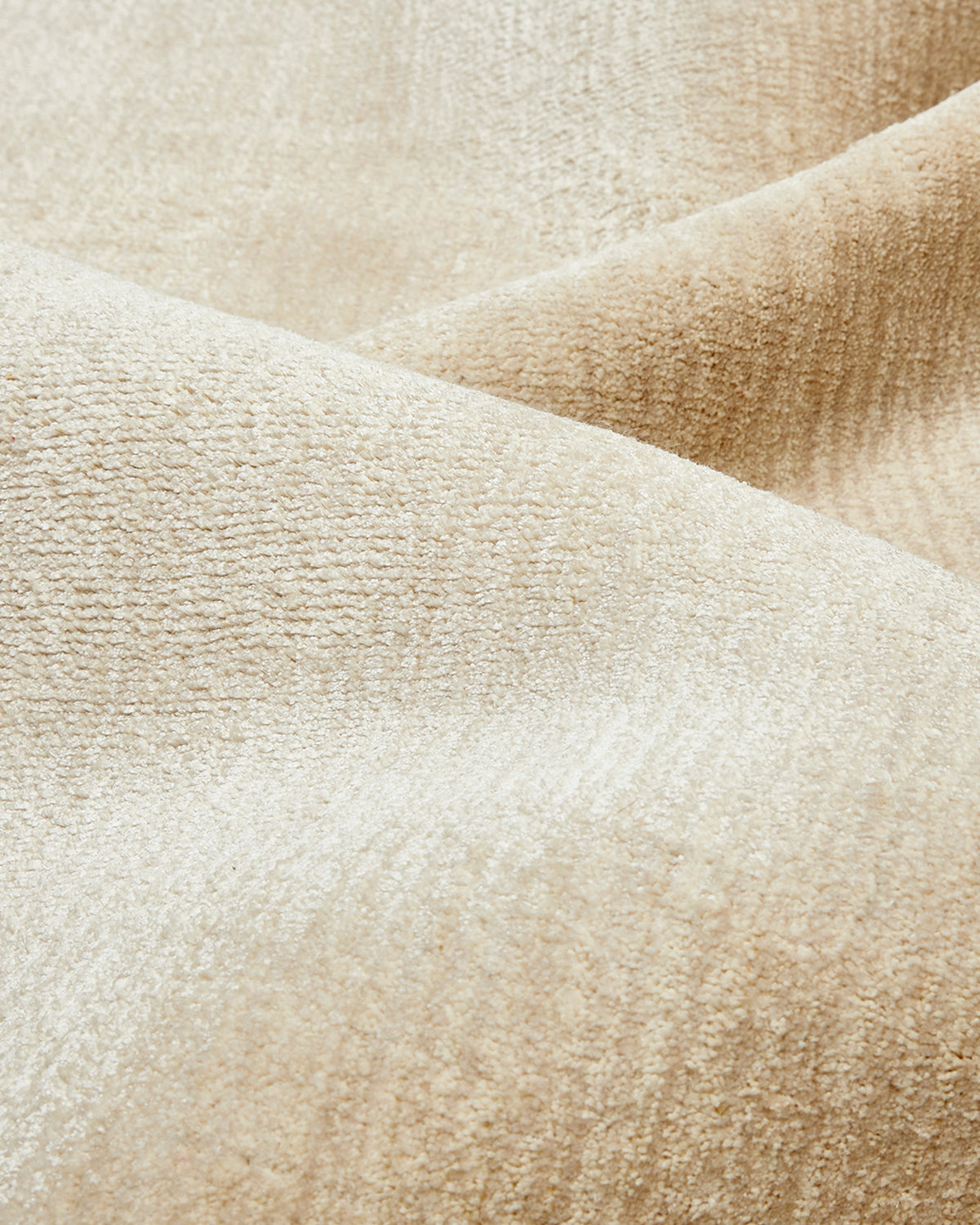 Lodhi Hand Loomed Contemporary Solid Area Rug